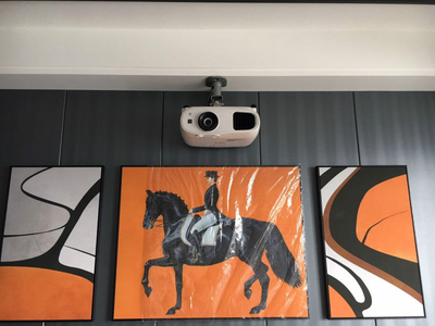 佛山保利碧桂园天汇客厅影院